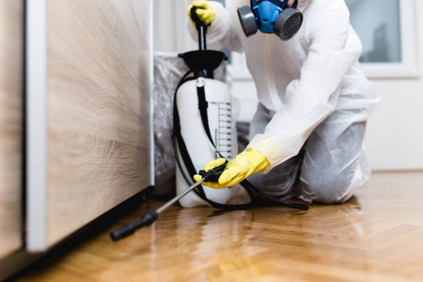 Best Wildlife Control Services  in Hillandale, MD
