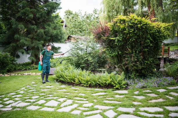 Best Affordable Pest Control Services  in Hillandale, MD