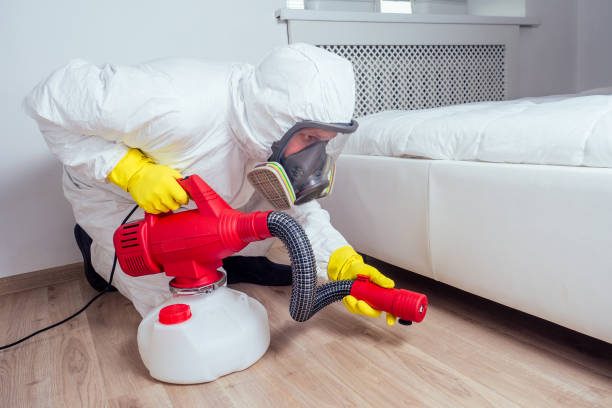 Best Affordable Pest Control Services  in Hillandale, MD