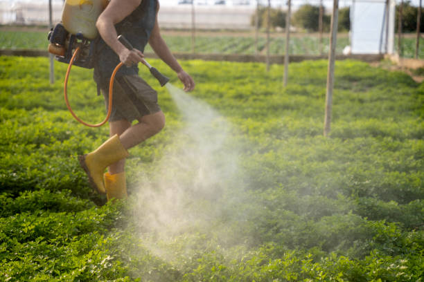 Best Best Pest Control Companies  in Hillandale, MD