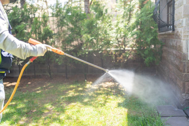 Best Wasp Removal Services  in Hillandale, MD