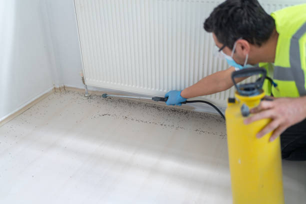 Best Bed Bug Extermination  in Hillandale, MD